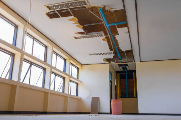 Best Water damage cleanup near me  in , LA
