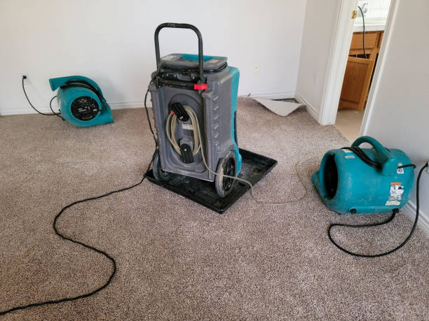 Best Basement water damage restoration  in , LA