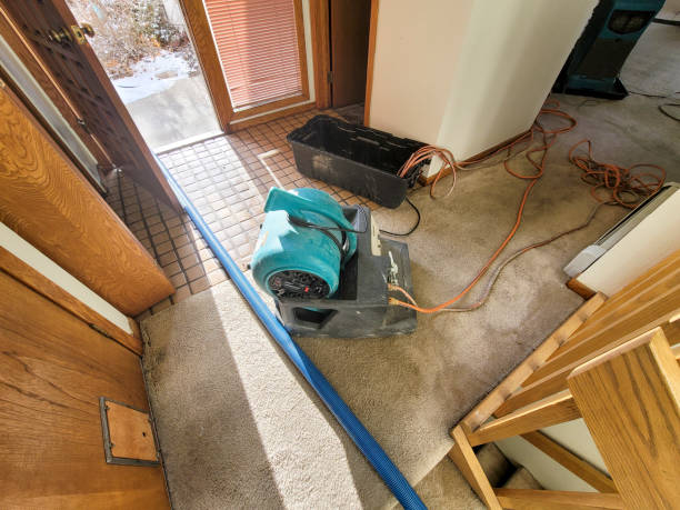 Best Ceiling water damage repair  in , LA
