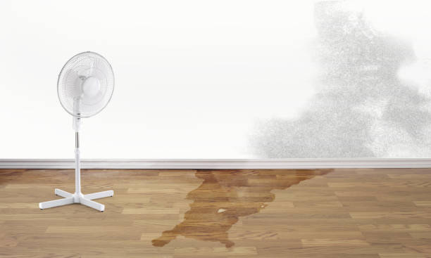 Best Sewage cleanup and water damage restoration  in , LA