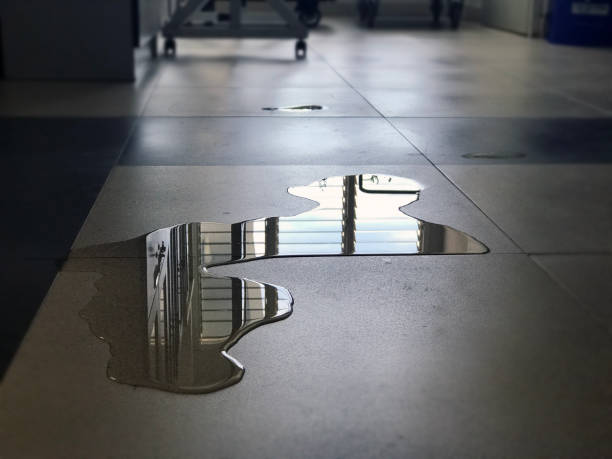 Best 24/7 water damage repair  in , LA