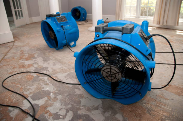 Best 24-hour water damage restoration  in , LA