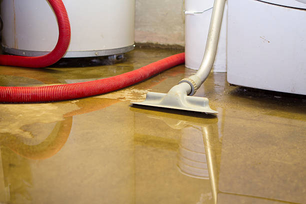 Best Flood restoration services  in , LA