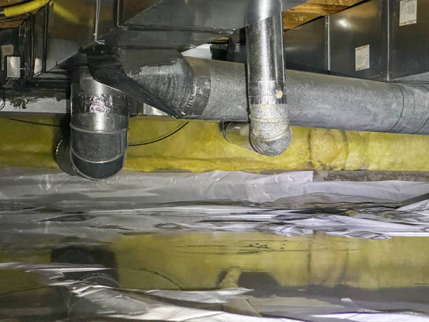 Best Flooded house restoration  in , LA