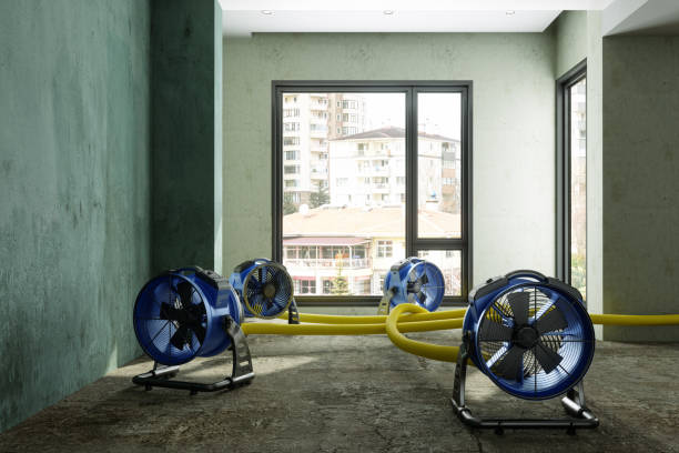 Best Flood damage cleanup  in , LA