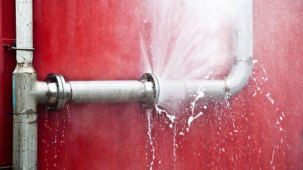 Best Fire Damage Restoration  in , LA